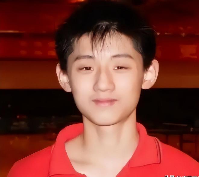 法国队力克葡萄牙队,张继科关键制胜 法国队力克葡萄牙队,张继科关键制胜